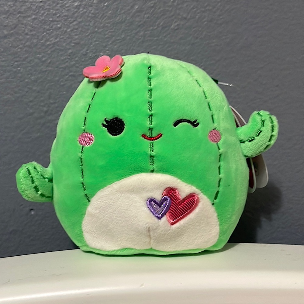 Rare Valentines Squishmallow ❤️🌵